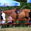 1dfh-140815-098