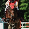 Springreitturnier Reiterkameradschaft Pfullingen e.V. 16.07.2016