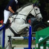 Springreitturnier Reiterkameradschaft Pfullingen e.V. 16.07.2016