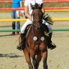Springreitturnier Reiterkameradschaft Pfullingen e.V. 16.07.2016