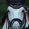 Springreitturnier Reiterkameradschaft Pfullingen e.V. 16.07.2016