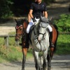 Springreitturnier Reiterkameradschaft Pfullingen e.V. 16.07.2016