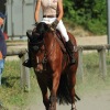 Springreitturnier Reiterkameradschaft Pfullingen e.V. 16.07.2016