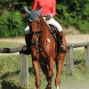Springreitturnier Reiterkameradschaft Pfullingen e.V. 16.07.2016