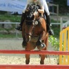 Springreitturnier Reiterkameradschaft Pfullingen e.V. 16.07.2016