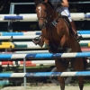 Springreitturnier Reiterkameradschaft Pfullingen e.V. 16.07.2016