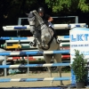 Springreitturnier Reiterkameradschaft Pfullingen e.V. 16.07.2016