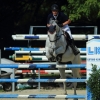 Springreitturnier Reiterkameradschaft Pfullingen e.V. 16.07.2016