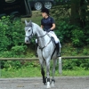 Springreitturnier Reiterkameradschaft Pfullingen e.V. 16.07.2016