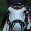 Springreitturnier Reiterkameradschaft Pfullingen e.V. 16.07.2016