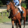 Springreitturnier Reiterkameradschaft Pfullingen e.V. 16.07.2016