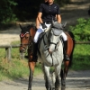 Springreitturnier Reiterkameradschaft Pfullingen e.V. 16.07.2016