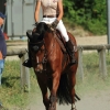Springreitturnier Reiterkameradschaft Pfullingen e.V. 16.07.2016