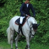 Springreitturnier Reiterkameradschaft Pfullingen e.V. 16.07.2016