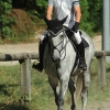 Springreitturnier Reiterkameradschaft Pfullingen e.V. 16.07.2016