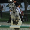 Springreitturnier Reiterkameradschaft Pfullingen e.V. 16.07.2016