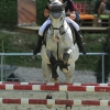Springreitturnier Reiterkameradschaft Pfullingen e.V. 16.07.2016