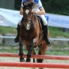 Springreitturnier Reiterkameradschaft Pfullingen e.V. 16.07.2016