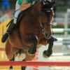 Springreitturnier Reiterkameradschaft Pfullingen e.V. 16.07.2016