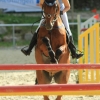 Springreitturnier Reiterkameradschaft Pfullingen e.V. 16.07.2016