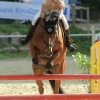Springreitturnier Reiterkameradschaft Pfullingen e.V. 16.07.2016