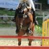 Springreitturnier Reiterkameradschaft Pfullingen e.V. 16.07.2016