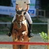 Springreitturnier Reiterkameradschaft Pfullingen e.V. 16.07.2016