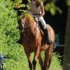 Springreitturnier Reiterkameradschaft Pfullingen e.V. 16.07.2016