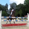 Springreitturnier Reiterkameradschaft Pfullingen e.V. 16.07.2016
