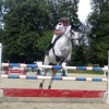 Springreitturnier Reiterkameradschaft Pfullingen e.V. 16.07.2016
