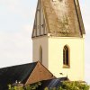 Störche, Herbertingen