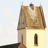 Störche, Herbertingen