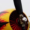 1dfh-erbach-50