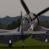1dfh-tann2009-1707-21