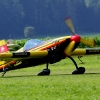1dfh-tann2009-0015