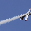 1dfh-tann2009-1707-03