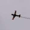 1dfh-tann2009-1707-04
