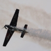 1dfh-tann2009-1707-07