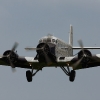 1dfh-tann2009-1707-11
