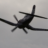 1dfh-tann2009-1707-13