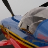 1dfh-tann2009-1707-23