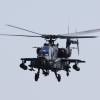 Tannkosh 2011