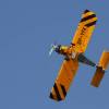 Tannkosh 2011