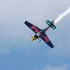 Tannkosh 2011