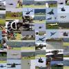 Tannkosh 2011