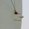 Tannkosh 2011