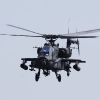 Tannkosh 2011