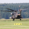 Tannkosh 2011