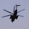 Tannkosh 2011