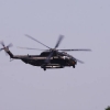 Tannkosh 2011